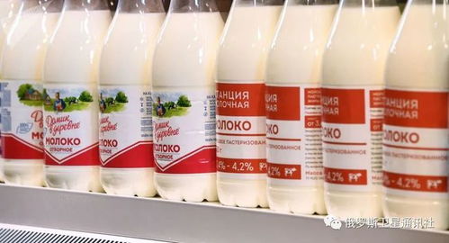 俄乳品厂 中国一直认为俄乳制品质量好 但市场竞争很激烈