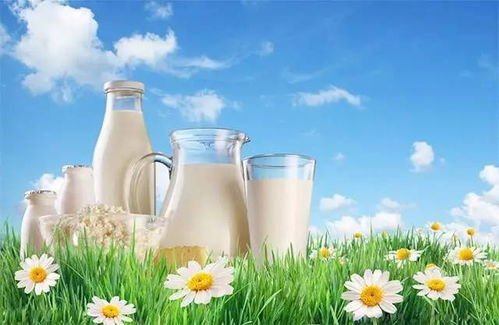 重磅福利 | 优质牛奶专享会员，乳制品及乳品原料批发特惠
