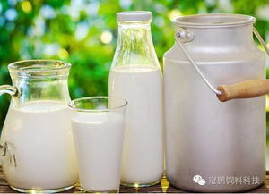 不需要牛的奶即将问世 乳制品及乳品原料批发的未来变局