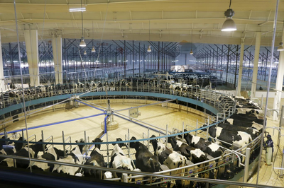 君乐宝获评2022年全国供应链创新与应用示范企业——引领乳制品及乳品原料批发行业高质量发展