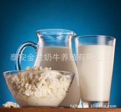 其他乳制品-厂家生产供应 供应价格平易质量上乘鲜奶 牛奶 鲜牛奶_商务联盟